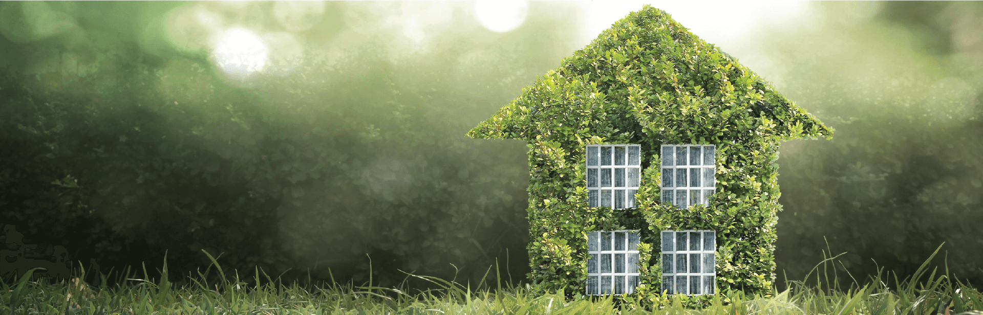 Green Homes of the Future: Innovations in Sustainable Living Spaces